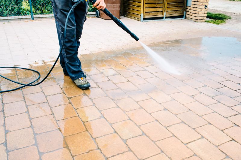 Paver Walkway Cleaning