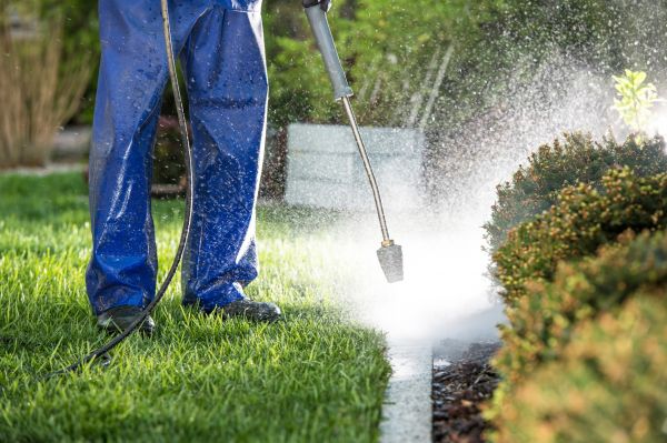 Cost of Curb Cleaning in Barrington