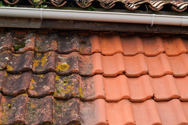 Industrial Roof Cleaning in Barrington